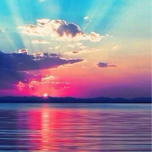 Meet your Posher, Lissette